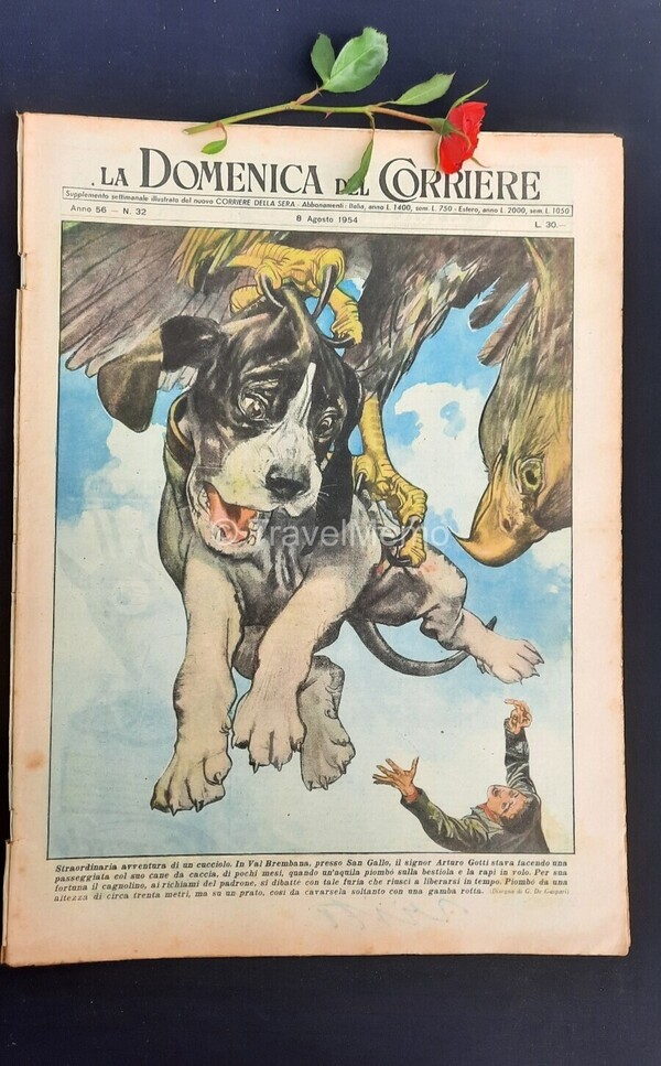 Copertina fronte Domenica del Corriere 8 agosto 1954 – articoli su cronaca e cultura che raccontano l'Italia del Novecento