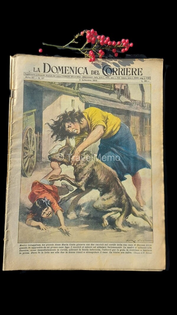 Copertina fronte Domenica del Corriere 11 settembre 1955 – articoli su Fontainebleau,Napoleone,Morbo,Erasmo
